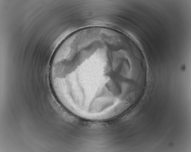 X0000116300899200912211859