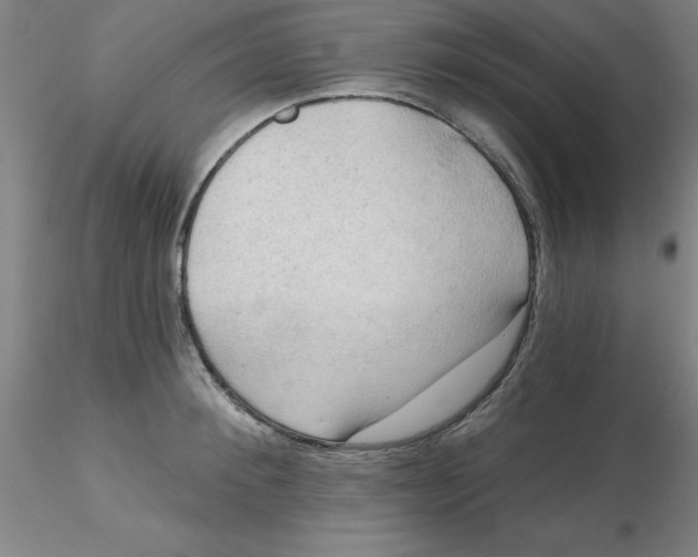 X0000116300900200912211859