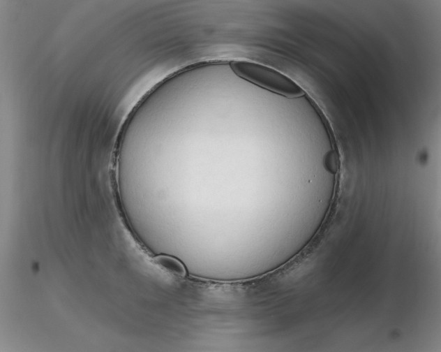 X0000116300901200912211859