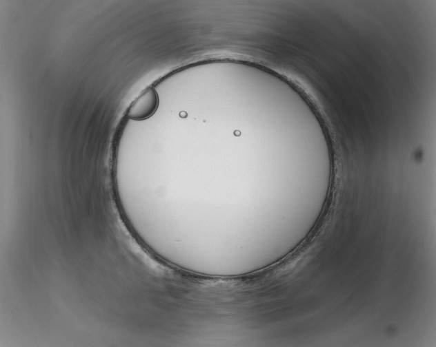 X0000116300902200912211859