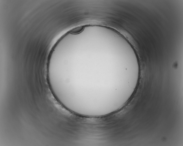 X0000116300904200912211859