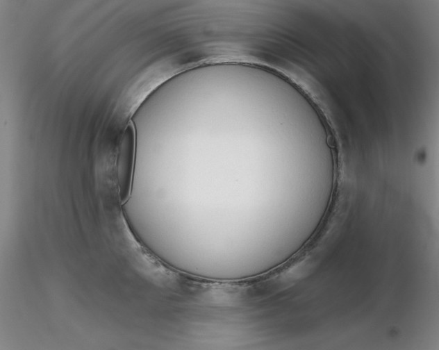 X0000116300905200912211859