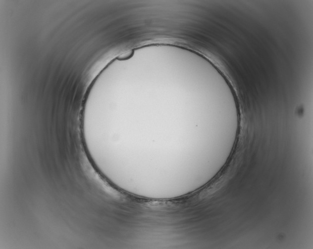 X0000116300906200912211859