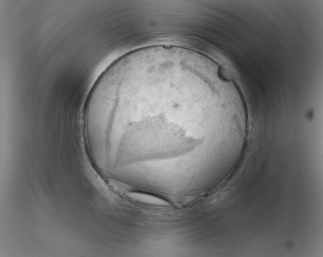 X0000116300907200912211859