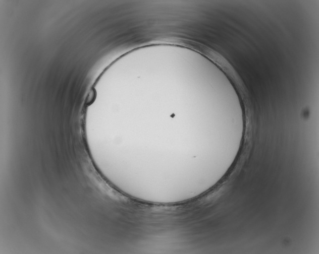 X0000116300908200912211859