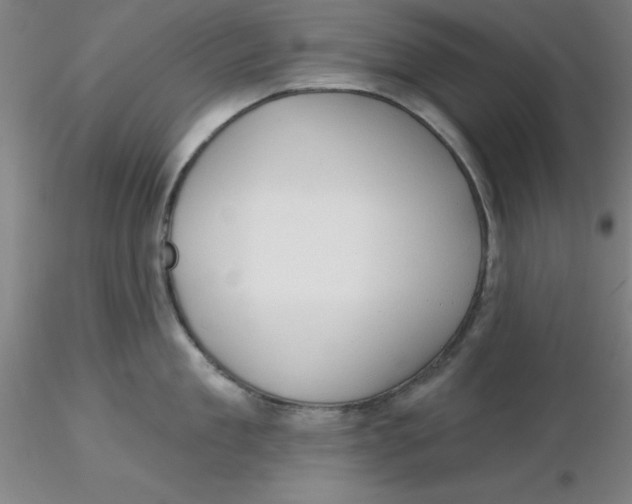 X0000116300909200912211859