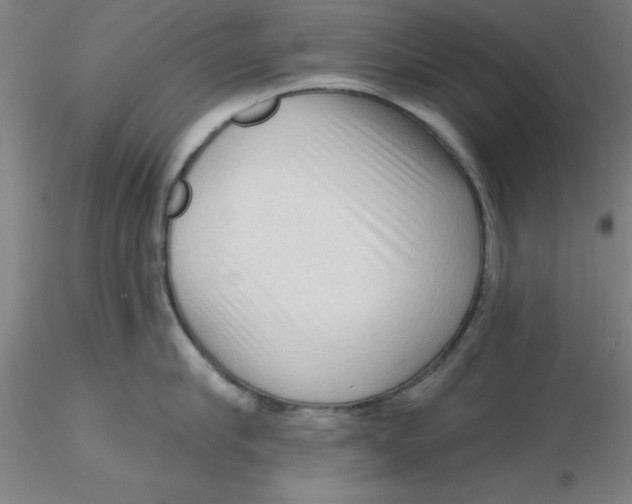 X0000116300910200912211859