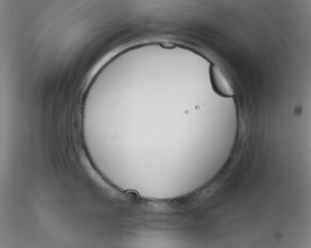 X0000116300911200912211859