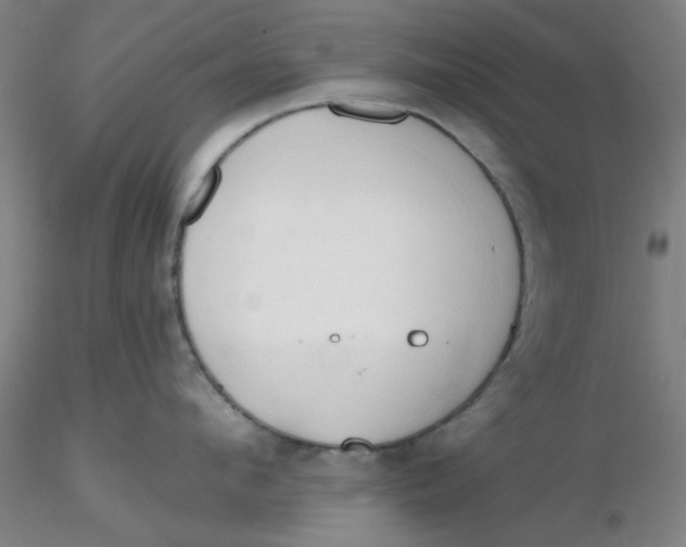 X0000116300912200912211859