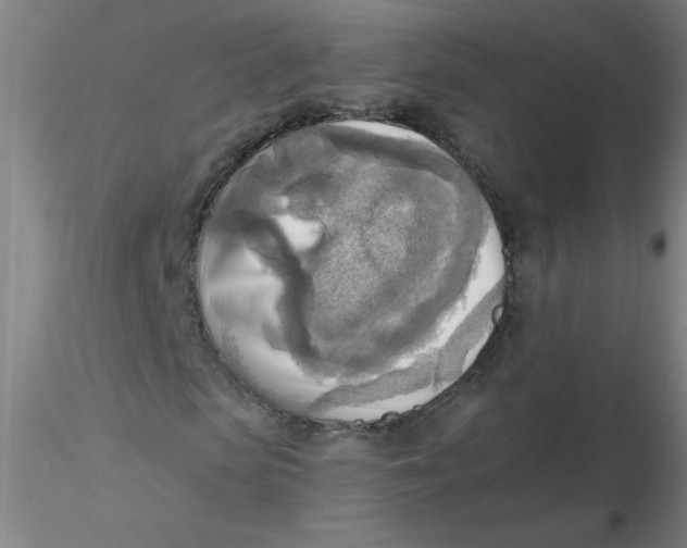 X0000116300913200912211858