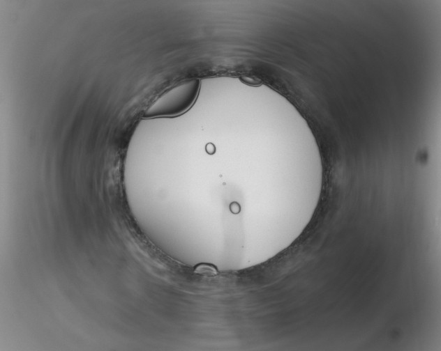 X0000116300914200912211858