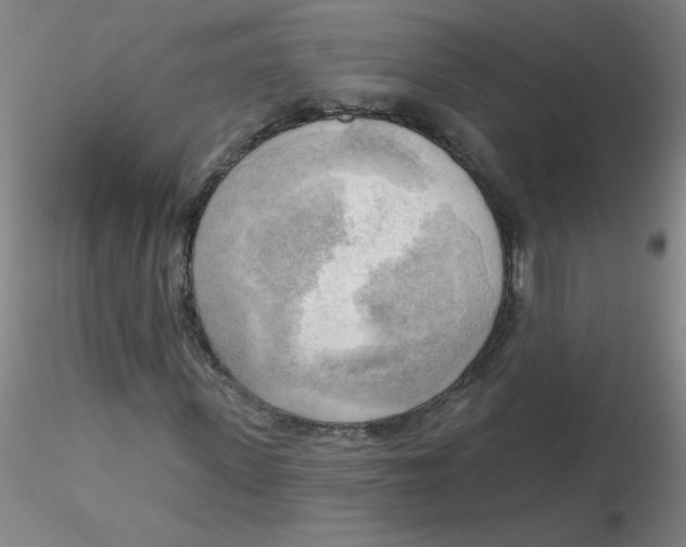 X0000116300915200912211858