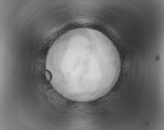 X0000116300917200912211858