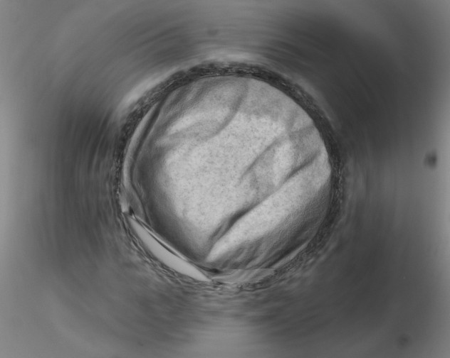 X0000116300919200912211858