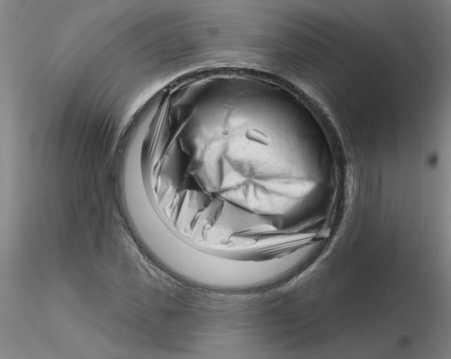 X0000116300925200912211858