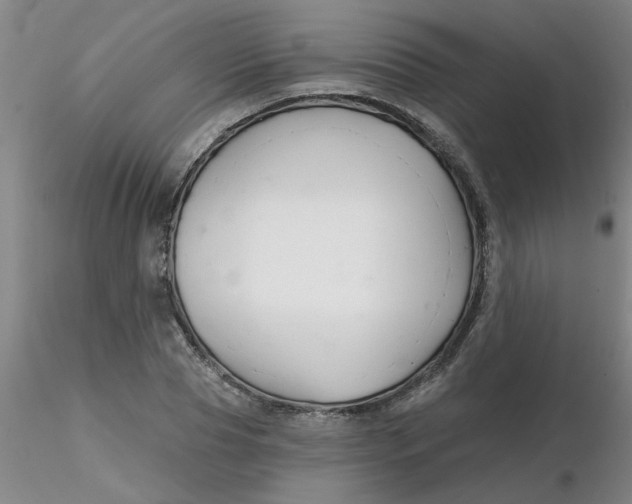 X0000116300929200912211858