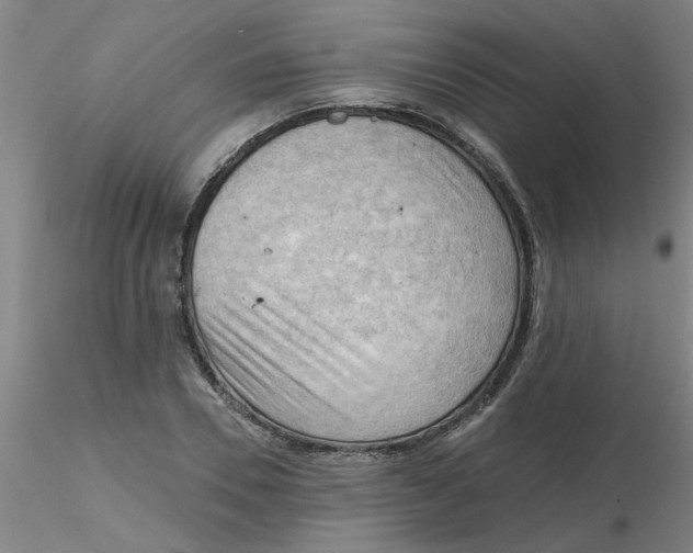 X0000116300930200912211858