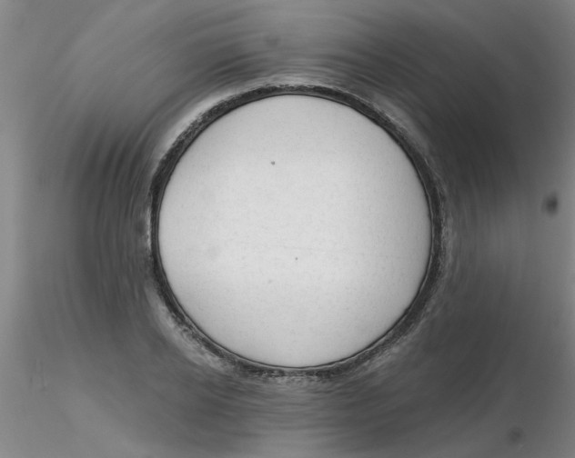 X0000116300934200912211858