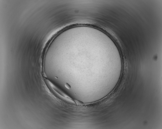 X0000116300935200912211858