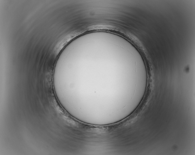 X0000116300937200912211858