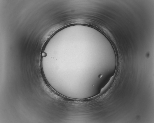 X0000116300938200912211858