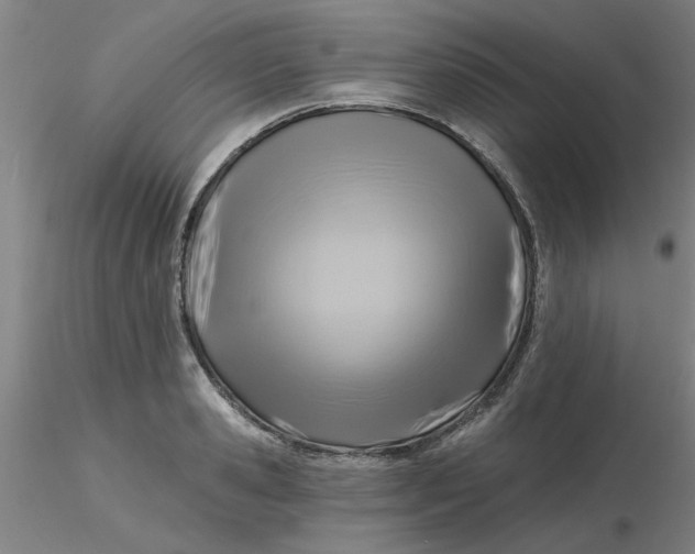 X0000116300941200912211858