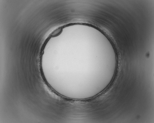 X0000116300942200912211858