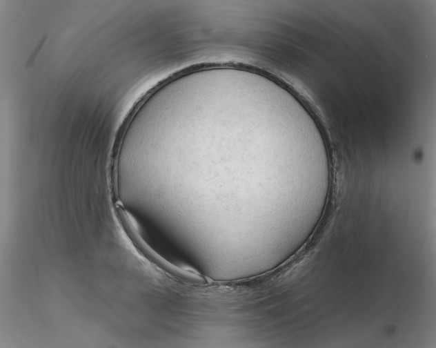 X0000116300943200912211858