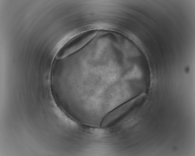 X0000116300946200912211858