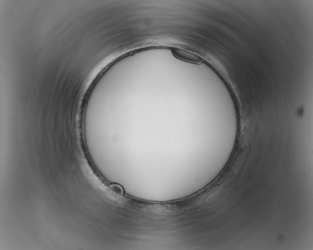 X0000116300947200912211858