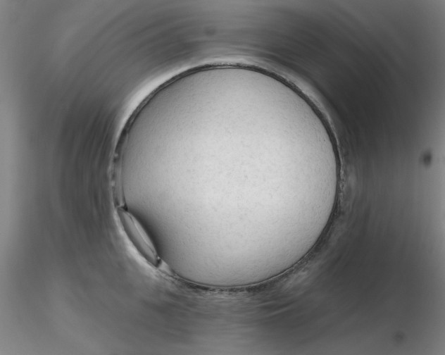 X0000116300951200912211859