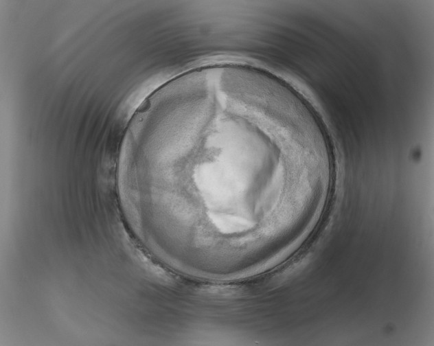 X0000116300953200912211859