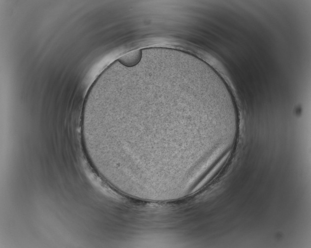 X0000116300954200912211859