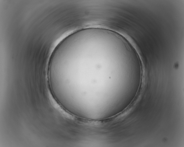 X0000116300957200912211859