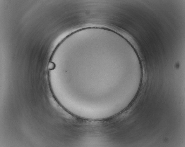 X0000116300958200912211859