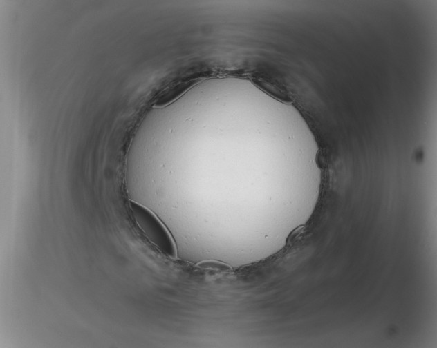 X0000116300961200912211858