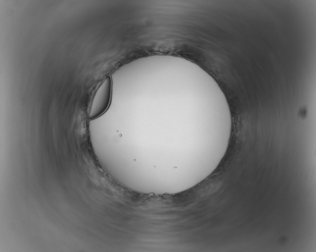 X0000116300962200912211858