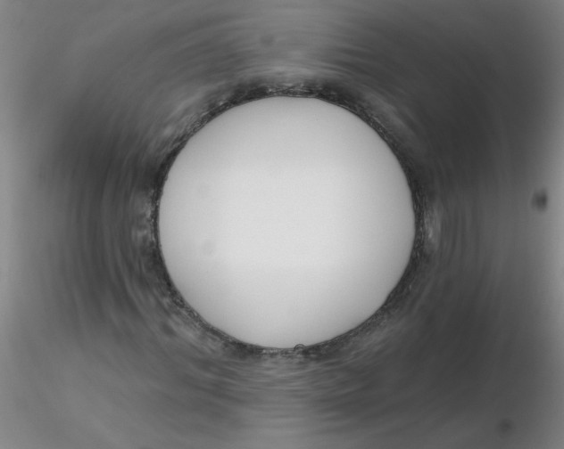 X0000116300964200912211858