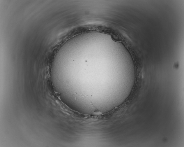 X0000116300965200912211858