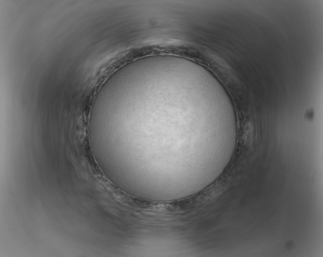 X0000116300966200912211858