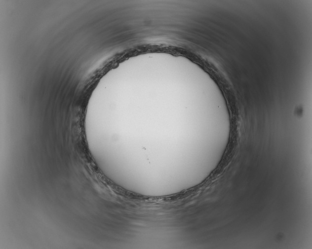 X0000116300968200912211858