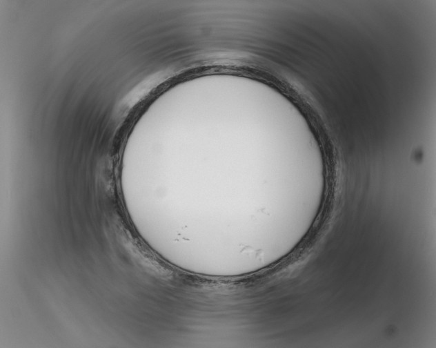 X0000116300970200912211858