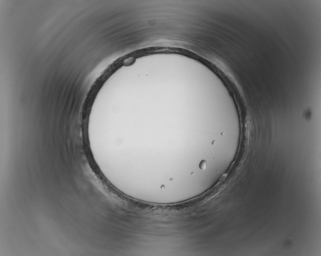 X0000116300972200912211858