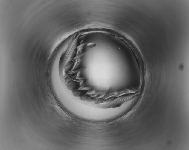 X0000116300973200912211858