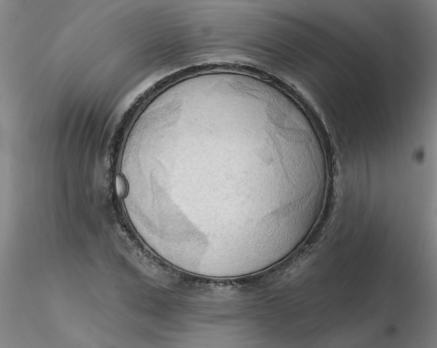 X0000116300975200912211858