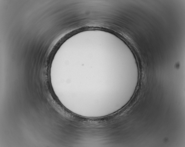 X0000116300976200912211858