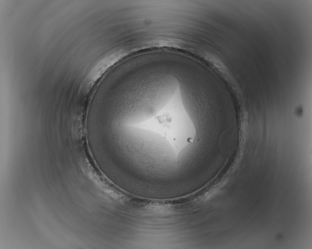 X0000116300977200912211858