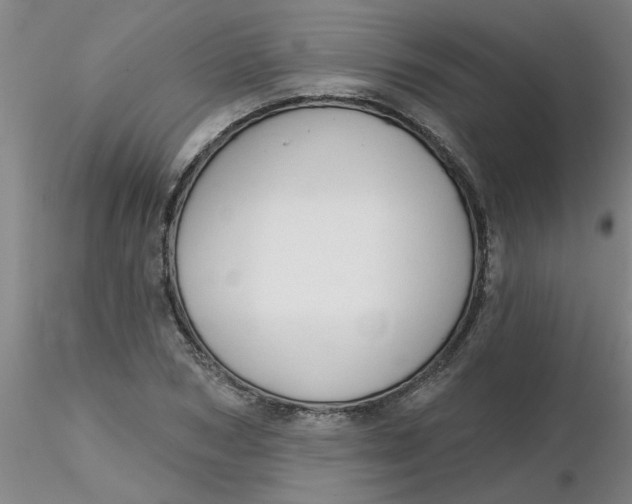 X0000116300978200912211858