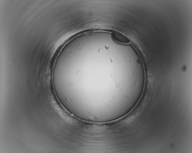 X0000116300981200912211858