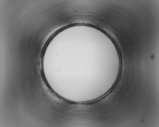 X0000116300984200912211858